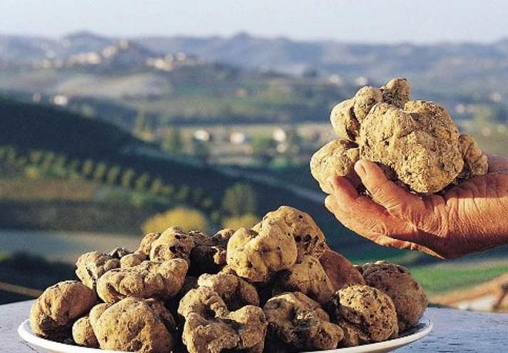 Sant'Agata Feltria White Truffle Fair