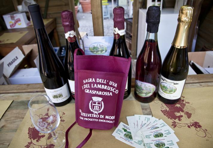 Grape and Lambrusco Grasparossa Wine Festival 