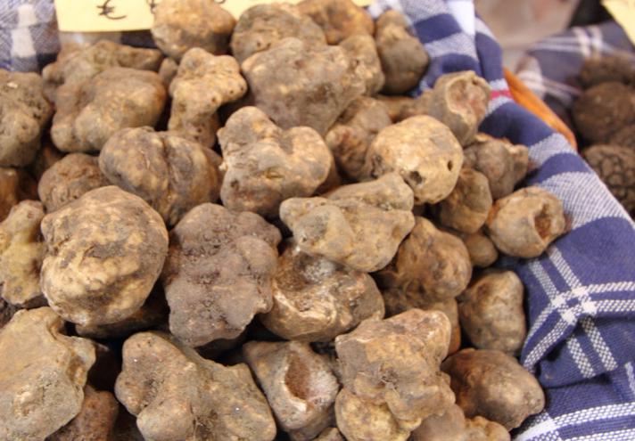 Fiera del tartufo bianco di Sant'Agata Feltria